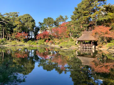 広島県縮景園に投稿された画像（2025/11/14）