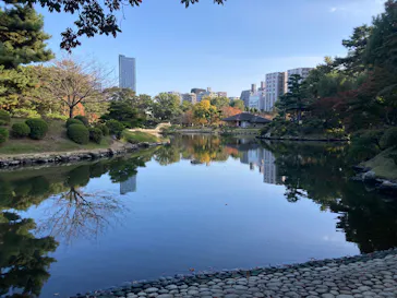 広島県縮景園に投稿された画像（2025/11/14）