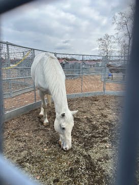 ノーザンホースパークに投稿された画像（2025/11/14）