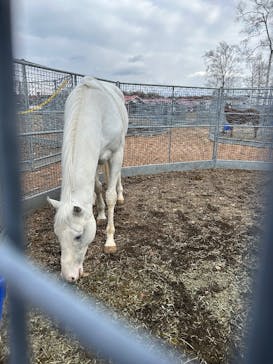 ノーザンホースパークに投稿された画像（2025/11/14）