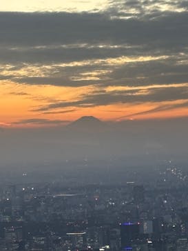 東京スカイツリーに投稿された画像（2025/11/14）