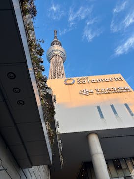 東京スカイツリーに投稿された画像（2025/11/14）