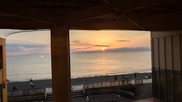 新江ノ島水族館に投稿された画像（2025/11/14）