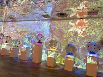 NARA KINGYO MUSEUMに投稿された画像（2025/11/14）