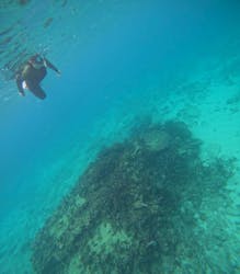 コズミックアースに投稿された画像（2025/11/14）