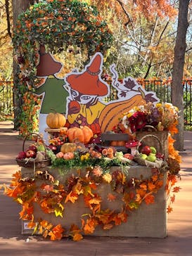 ムーミンバレーパークに投稿された画像（2025/11/15）