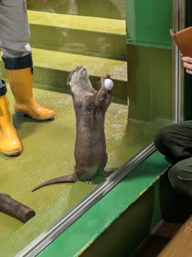 竹島水族館に投稿された画像（2025/11/15）