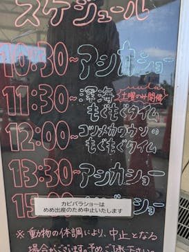 竹島水族館に投稿された画像（2025/11/15）