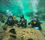 武藤潜水に投稿された画像（2025/11/15）