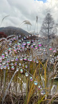 箱根ガラスの森美術館に投稿された画像（2025/11/15）