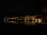 国営昭和記念公園 秋の夜散歩に投稿された画像（2025/11/15）