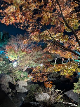 国営昭和記念公園 秋の夜散歩に投稿された画像（2025/11/15）