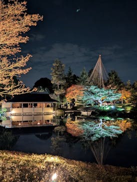 国営昭和記念公園 秋の夜散歩に投稿された画像（2025/11/15）