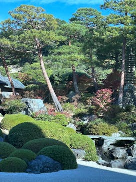 足立美術館に投稿された画像（2025/11/15）