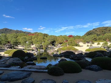 足立美術館に投稿された画像（2025/11/15）