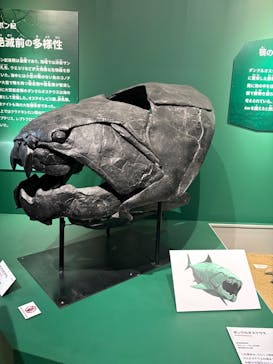 印象派オルセー展×大絶滅展に投稿された画像（2025/11/15）