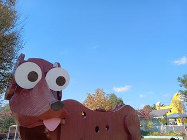 つくばわんわんランドに投稿された画像（2025/11/15）