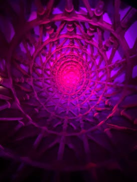 万博記念公園に投稿された画像（2025/11/15）