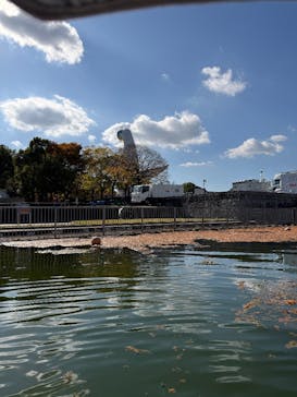 万博記念公園に投稿された画像（2025/11/15）