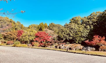 万博記念公園に投稿された画像（2025/11/15）