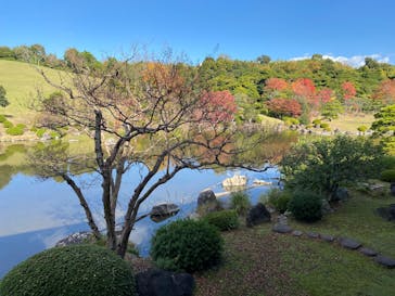 万博記念公園に投稿された画像（2025/11/15）