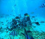 青の洞窟専門店　沖縄ダイビングショップ和に投稿された画像（2025/11/15）