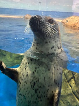 新江ノ島水族館に投稿された画像（2025/11/15）
