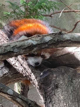 那須どうぶつ王国に投稿された画像（2025/11/15）