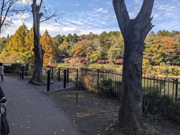 ムーミンバレーパークに投稿された画像（2025/11/15）