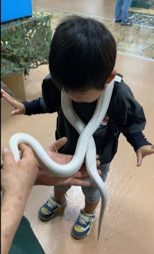 いきもの探検隊上尾に投稿された画像（2025/11/15）