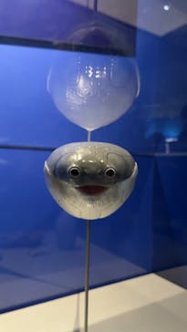 特別展「大絶滅展―生命史のビッグファイブ」に投稿された画像（2025/11/15）