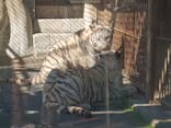 東武動物公園に投稿された画像（2025/11/15）