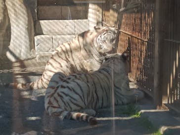 東武動物公園に投稿された画像（2025/11/15）