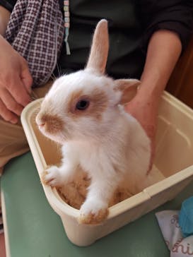 東武動物公園に投稿された画像（2025/11/15）