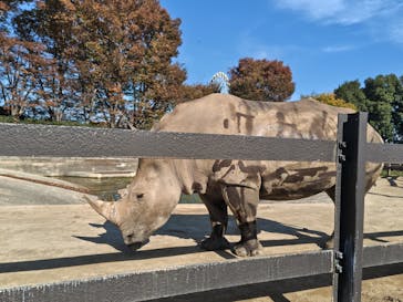 東武動物公園に投稿された画像（2025/11/15）