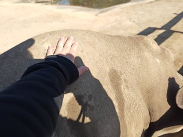 東武動物公園に投稿された画像（2025/11/15）