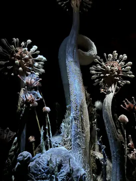 金曜ロードショーとジブリ展（静岡展）に投稿された画像（2025/11/15）