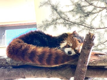 那須どうぶつ王国に投稿された画像（2025/11/15）