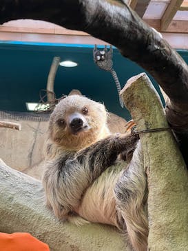 那須どうぶつ王国に投稿された画像（2025/11/15）