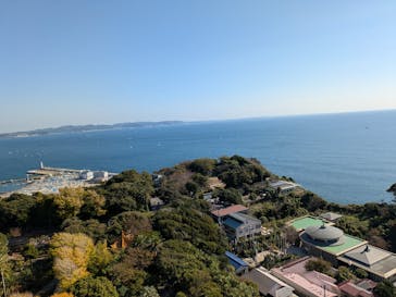 江の島シーキャンドル×新江ノ島水族館に投稿された画像（2025/11/15）