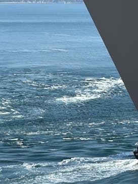 徳島県立 渦の道に投稿された画像（2025/11/15）