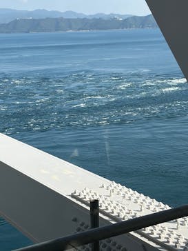 徳島県立 渦の道に投稿された画像（2025/11/15）