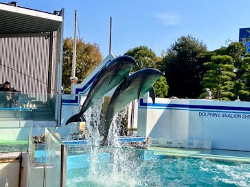 しながわ水族館に投稿された画像（2025/11/15）