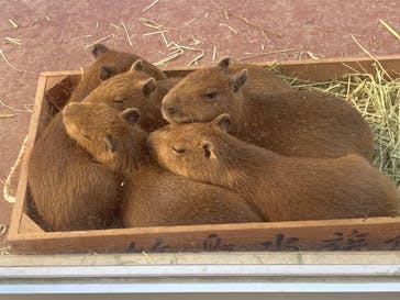 竹島水族館に投稿された画像（2025/11/15）