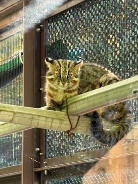 名古屋市東山動植物園に投稿された画像（2025/11/15）