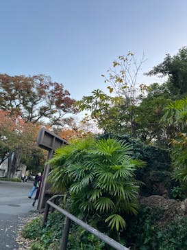 恩賜上野動物園に投稿された画像（2025/11/15）