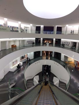 福井県立恐竜博物館に投稿された画像（2025/11/15）