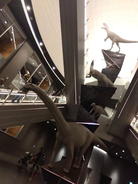 福井県立恐竜博物館に投稿された画像（2025/11/15）