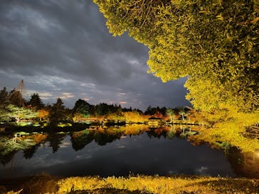 国営昭和記念公園 秋の夜散歩に投稿された画像（2025/11/15）