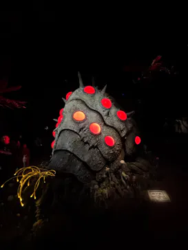 金曜ロードショーとジブリ展（静岡展）に投稿された画像（2025/11/15）